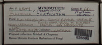 Image Associated With the Occurence